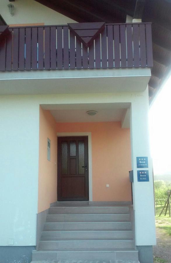 Guesthouse Matija Irinovac Buitenkant foto