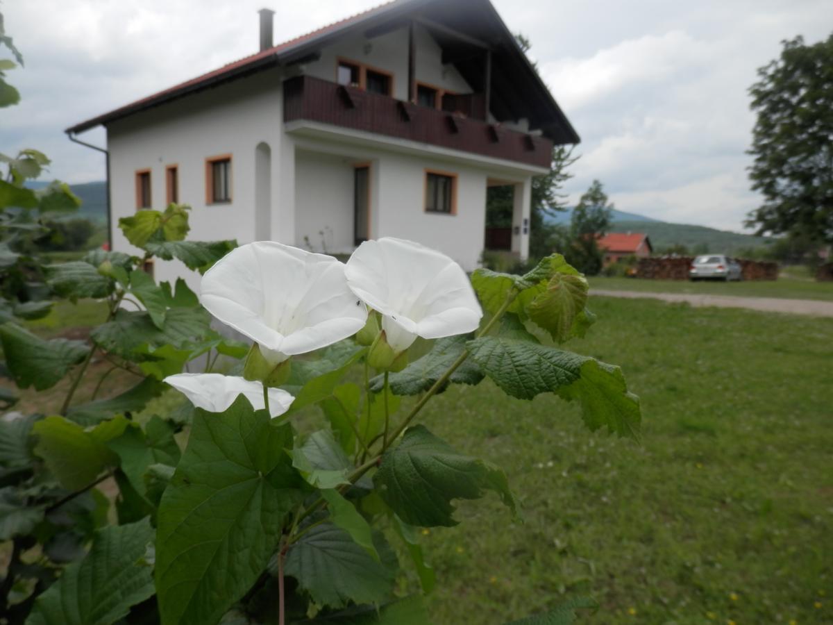 Guesthouse Matija Irinovac Buitenkant foto