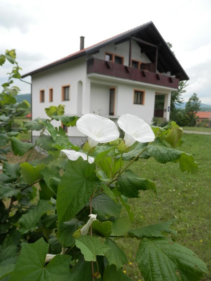 Guesthouse Matija Irinovac Buitenkant foto
