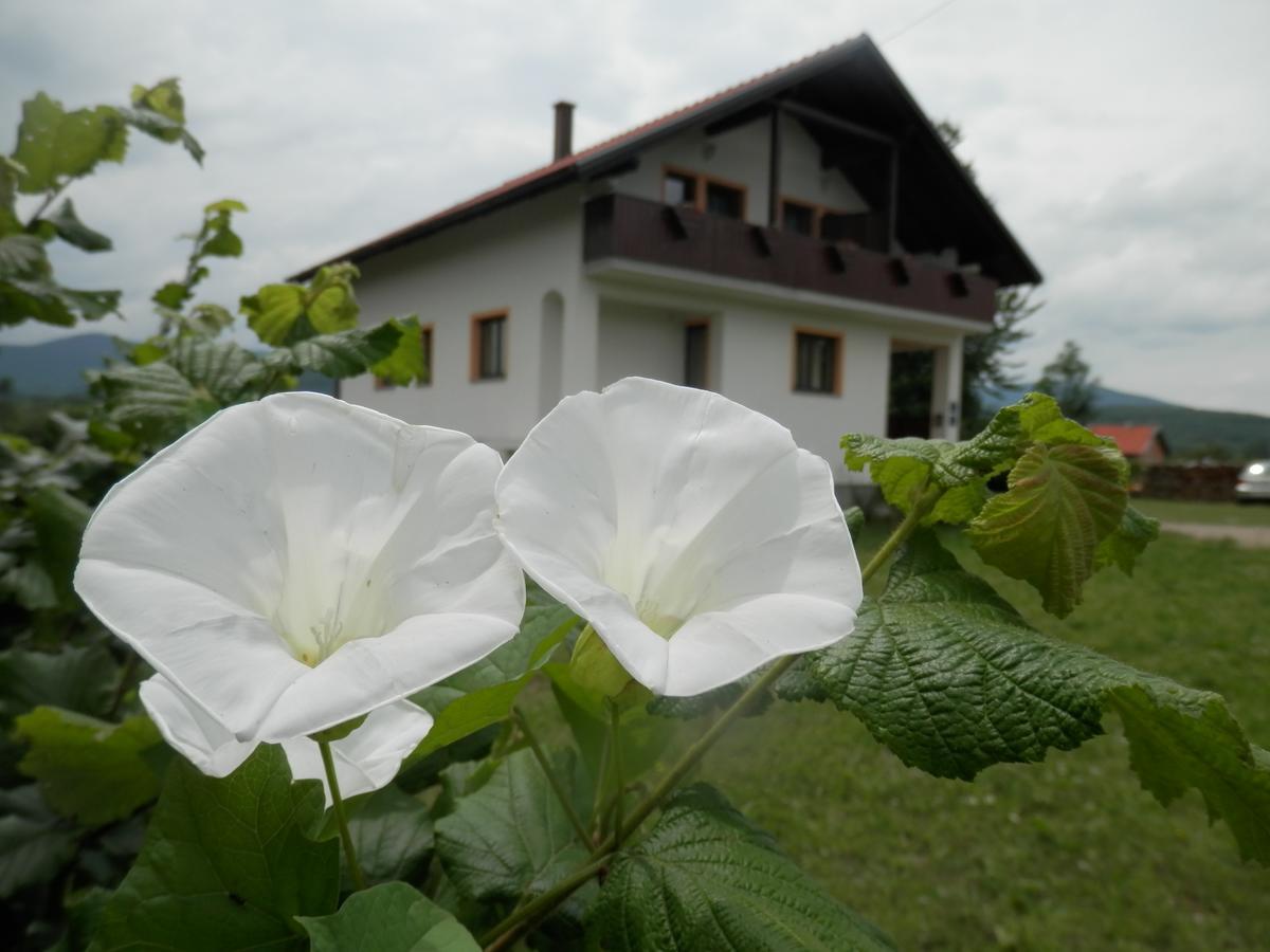 Guesthouse Matija Irinovac Buitenkant foto